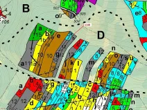 Dražba lesa, Vilice, 1105 m2