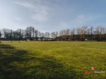 Prodej pole, Nechanice - Nerošov, 4198 m2