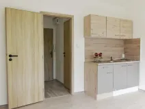 Pronájem bytu 1+kk, Ostrava - Hrabůvka, Krakovská, 22 m2