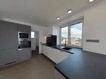 Pronájem bytu 3+kk, Rudíkov, 100 m2