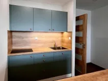 Pronájem bytu 1+kk, Ostrava - Moravská Ostrava, Lechowiczova, 27 m2