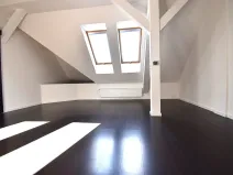 Prodej bytu 2+1, Plzeň - Lobzy, Masarykova, 88 m2