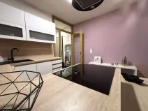 Pronájem bytu 1+kk, Plzeň - Východní Předměstí, Pallova, 37 m2