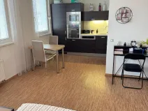 Prodej bytu 2+kk, Olomouc, Dlouhá, 43 m2