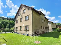 Pronájem bytu 1+1, Plavy, 45 m2