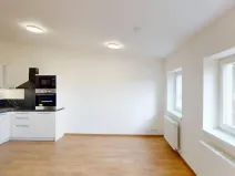 Pronájem bytu 1+kk, Praha - Střešovice, Na Petynce, 43 m2