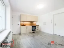 Pronájem bytu 1+1, Frýdek-Místek - Frýdek, Křižíkova, 45 m2