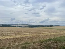 Prodej pole, Krásněves, 12 m2
