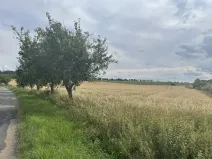 Prodej pole, Krásněves, 12 m2