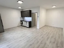 Pronájem bytu 1+kk, Olomouc, Wolkerova, 43 m2