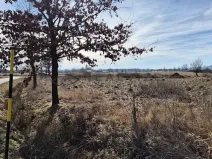 Prodej pozemku pro bydlení, Čejkovice, 1055 m2