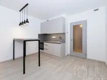 Prodej bytu 1+kk, Praha - Hloubětín, Poděbradská, 32 m2