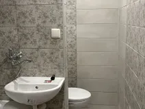 Pronájem bytu 1+1, Děčín - Děčín VI-Letná, 43 m2