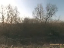 Prodej lesa, Stařechovice, 4595 m2