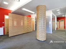 Pronájem kanceláře, Brno, 248 m2