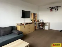 Pronájem bytu 1+1, Brno - Žabovřesky, 38 m2