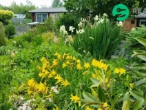 Prodej chaty, Kadaň - Tušimice, 30 m2