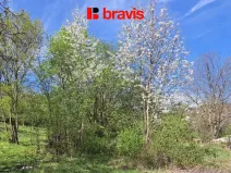 Prodej zahrady, Brno, Cihelní, 902 m2