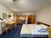 Pronájem bytu 1+kk, Bayerisch Eisenstein, Německo, Bahnhofstrasse, 25 m2