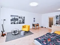 Pronájem bytu 1+kk, Praha, Trmická, 40 m2