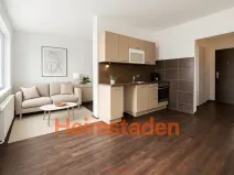 Pronájem bytu 1+kk, Havířov - Město, Mánesova, 36 m2