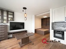 Pronájem bytu 1+kk, Praha - Dejvice, Lindleyova, 59 m2