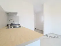 Pronájem bytu 1+kk, České Budějovice - České Budějovice 3, Plzeňská, 20 m2