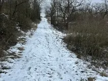 Prodej zahrady, Hustopeče, 4050 m2