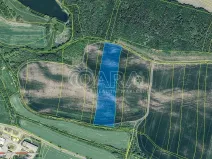 Prodej pole, Mašťov, 29043 m2