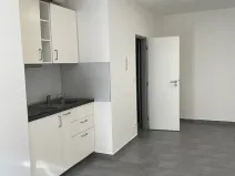 Pronájem bytu 1+kk, Brno, Křenová, 25 m2