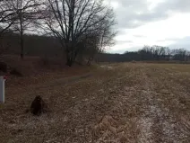 Dražba pozemku, Janovice nad Úhlavou, 4609 m2