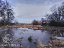 Dražba pozemku, Janovice nad Úhlavou, 4609 m2