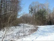 Dražba pozemku, Hamr na Jezeře, 23639 m2