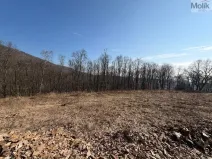 Prodej pozemku pro bydlení, Lom, Alšova, 2648 m2