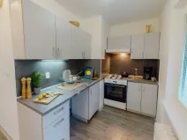 Pronájem bytu 1+1, Ostrava - Výškovice, 29. dubna, 35 m2