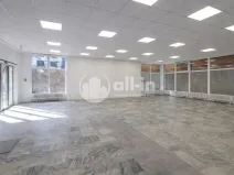 Pronájem obchodního prostoru, Vyškov - Brňany, Palánek, 252 m2