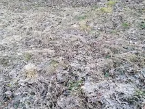 Pronájem zahrady, Dětkovice, 581 m2