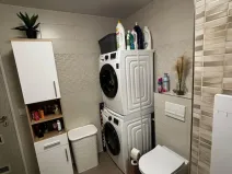 Prodej bytu 3+kk, Bílina - Teplické Předměstí, Čapkova, 55 m2