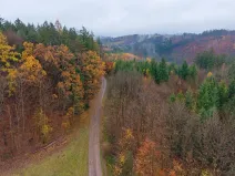 Prodej lesa, Lukavice, 90440 m2