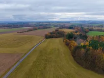 Prodej lesa, Lukavice, 90440 m2