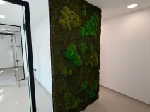 Pronájem kanceláře, Uherské Hradiště - Jarošov, Drahy, 56 m2