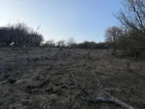 Prodej zahrady, Litoměřice - Předměstí, Veveří, 3183 m2