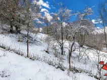 Prodej pozemku pro bydlení, Volfartice, 1372 m2