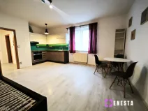 Pronájem bytu 1+kk, Praha - Libeň, Budilova, 39 m2