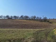 Prodej sadu/vinice, Hovorany, 1322 m2