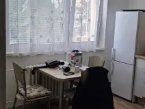 Pronájem bytu 1+1, Jihlava, Březinova, 32 m2