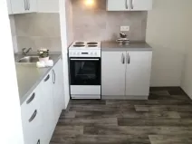 Pronájem bytu 1+1, Ostrava - Poruba, Maďarská, 39 m2