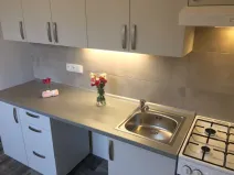 Pronájem bytu 2+1, Ostrava - Zábřeh, Patrice Lumumby, 55 m2