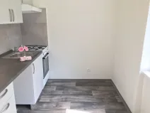 Pronájem bytu 1+1, Ostrava - Zábřeh, Svazácká, 35 m2