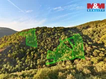 Prodej lesa, Ústí nad Labem - Severní Terasa, 23067 m2